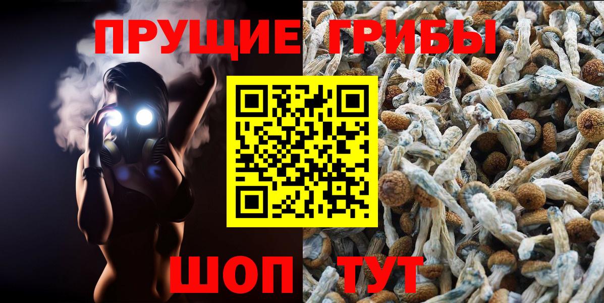 Псилоцибиновые грибы Cubensis Когалым