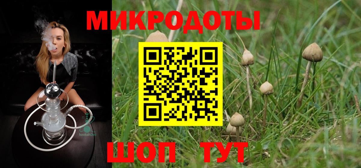 Псилоцибиновые грибы мицелий  наркошоп  Когалым  Вход с VPN 